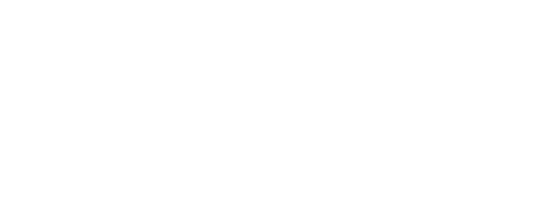 Niccolò Nencini signature